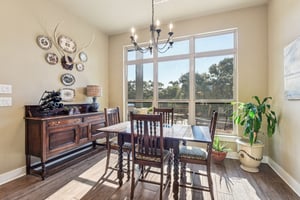 Hanging Oak-S0310-019.jpg