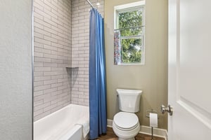 Hanging Oak-S0310-032.jpg