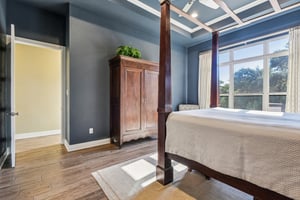 Hanging Oak-S0310-047.jpg