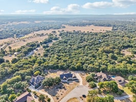 Hanging Oak-S0310-073.jpg