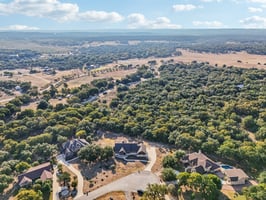 Hanging Oak-S0310-074.jpg