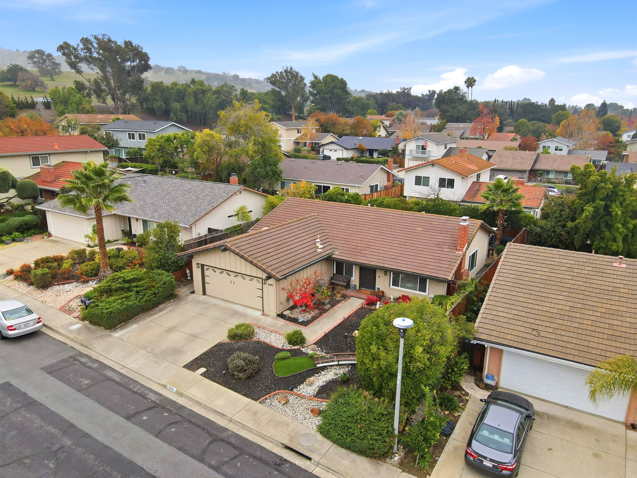 003_F8_AERIAL_4490 Buckthorn Ct