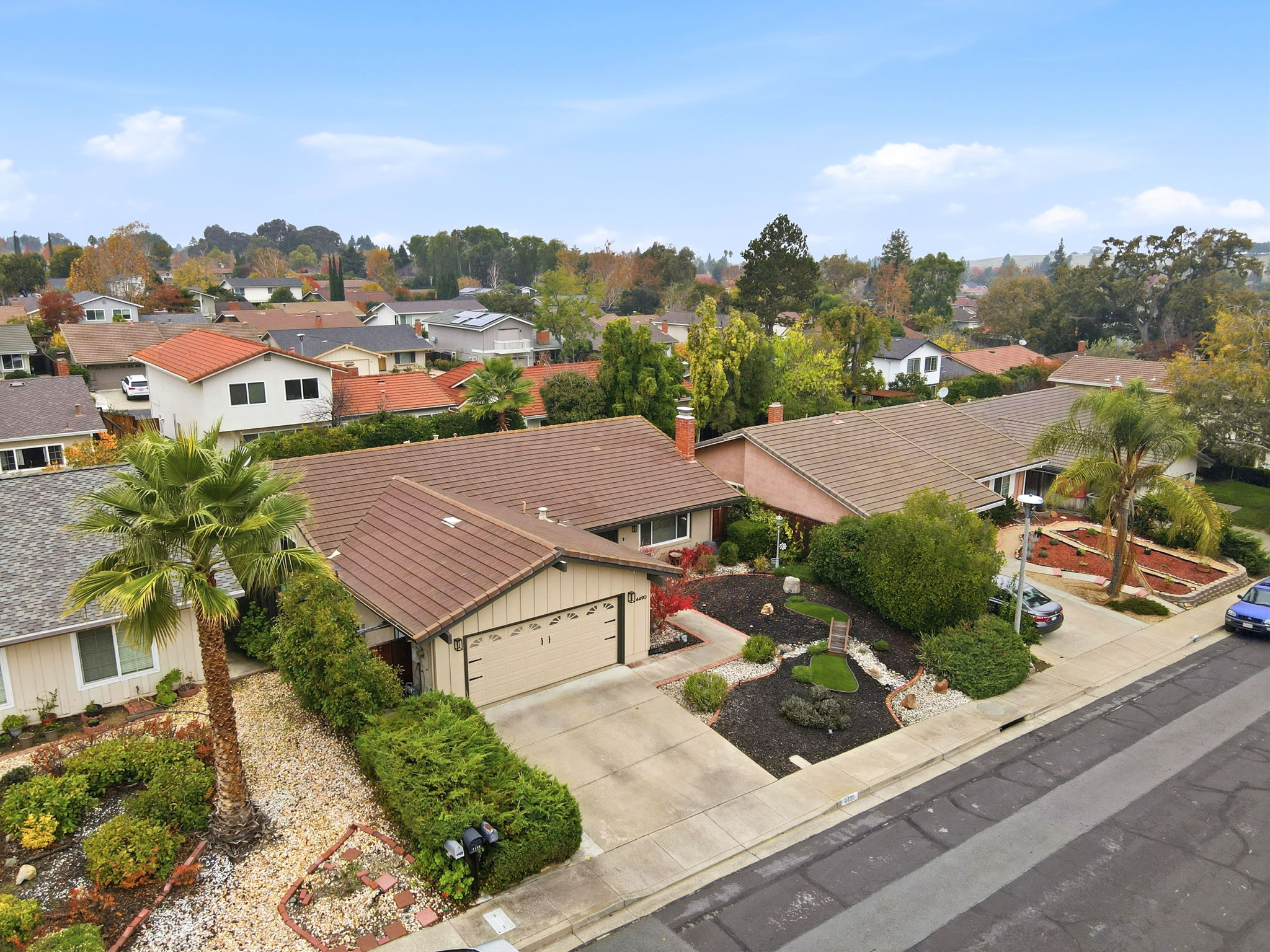 004_F8_AERIAL_4490 Buckthorn Ct