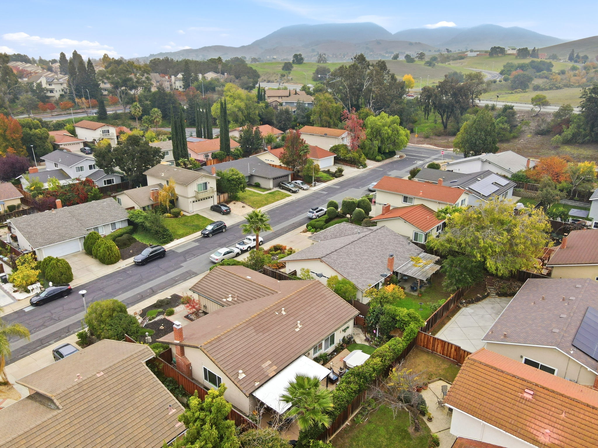 008_F8_AERIAL_4490 Buckthorn Ct