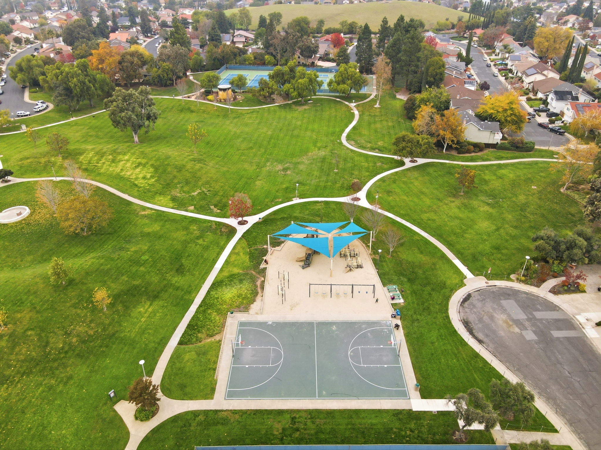 013_F8_AERIAL_4490 Buckthorn Ct