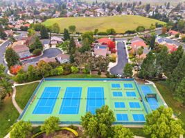 014_F8_AERIAL_4490 Buckthorn Ct