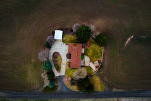  Photo 44