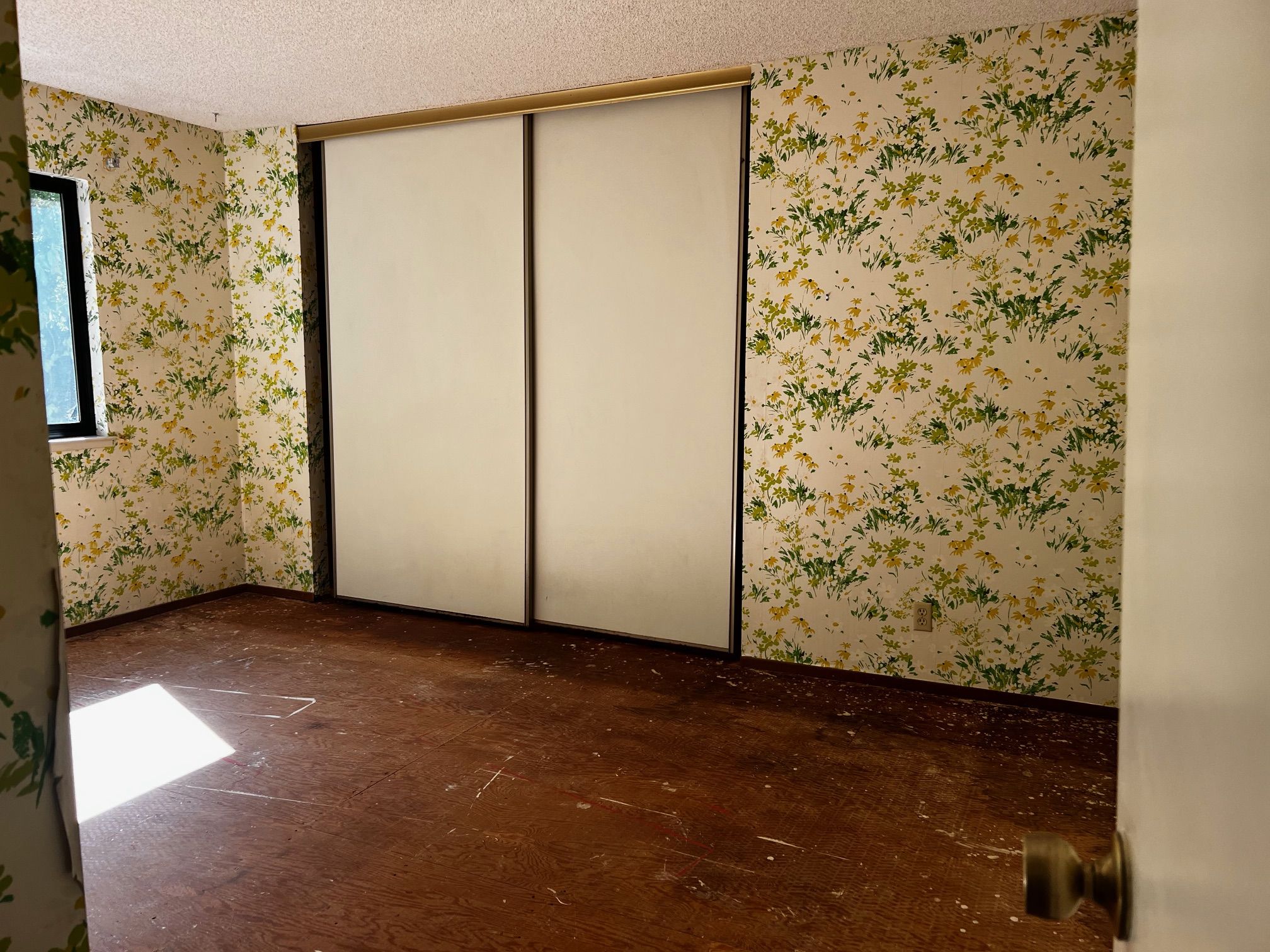Bedroom #1 has Large Closet Space