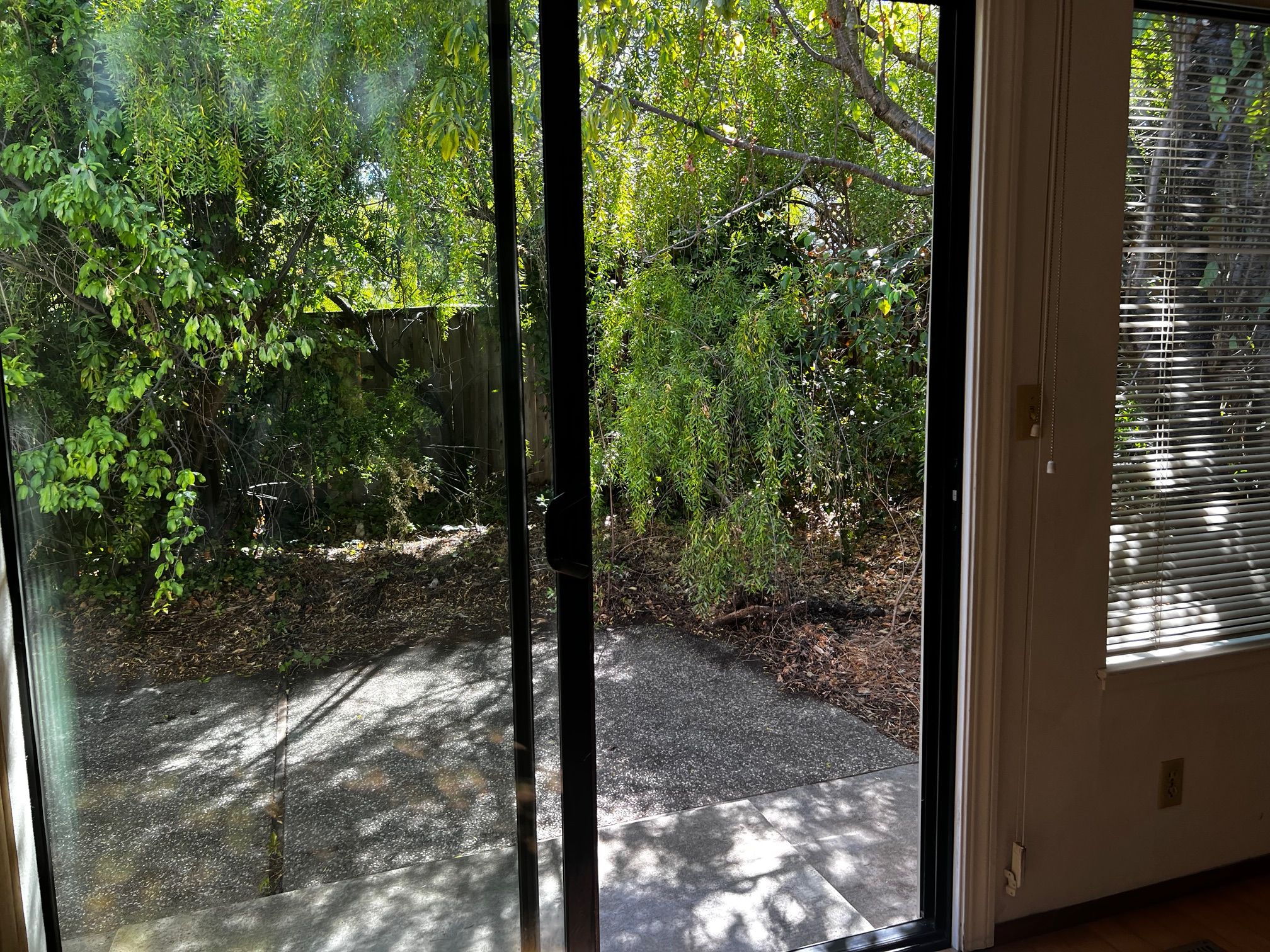 Backyard Patio