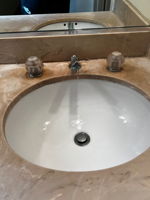 Master Bathroom Sink
