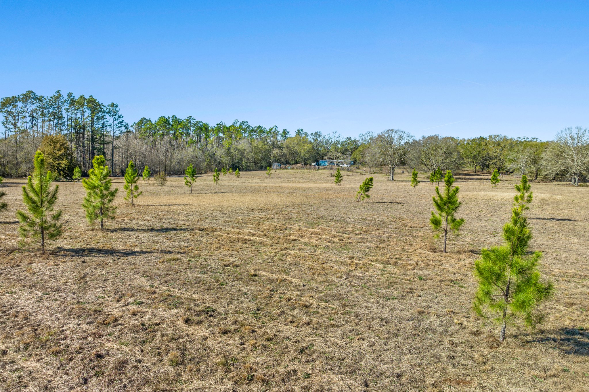 4497 Bollinger Rd, Vernon, FL 32462
