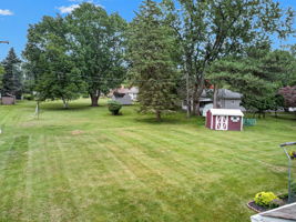  Photo 41
