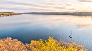  Photo 71