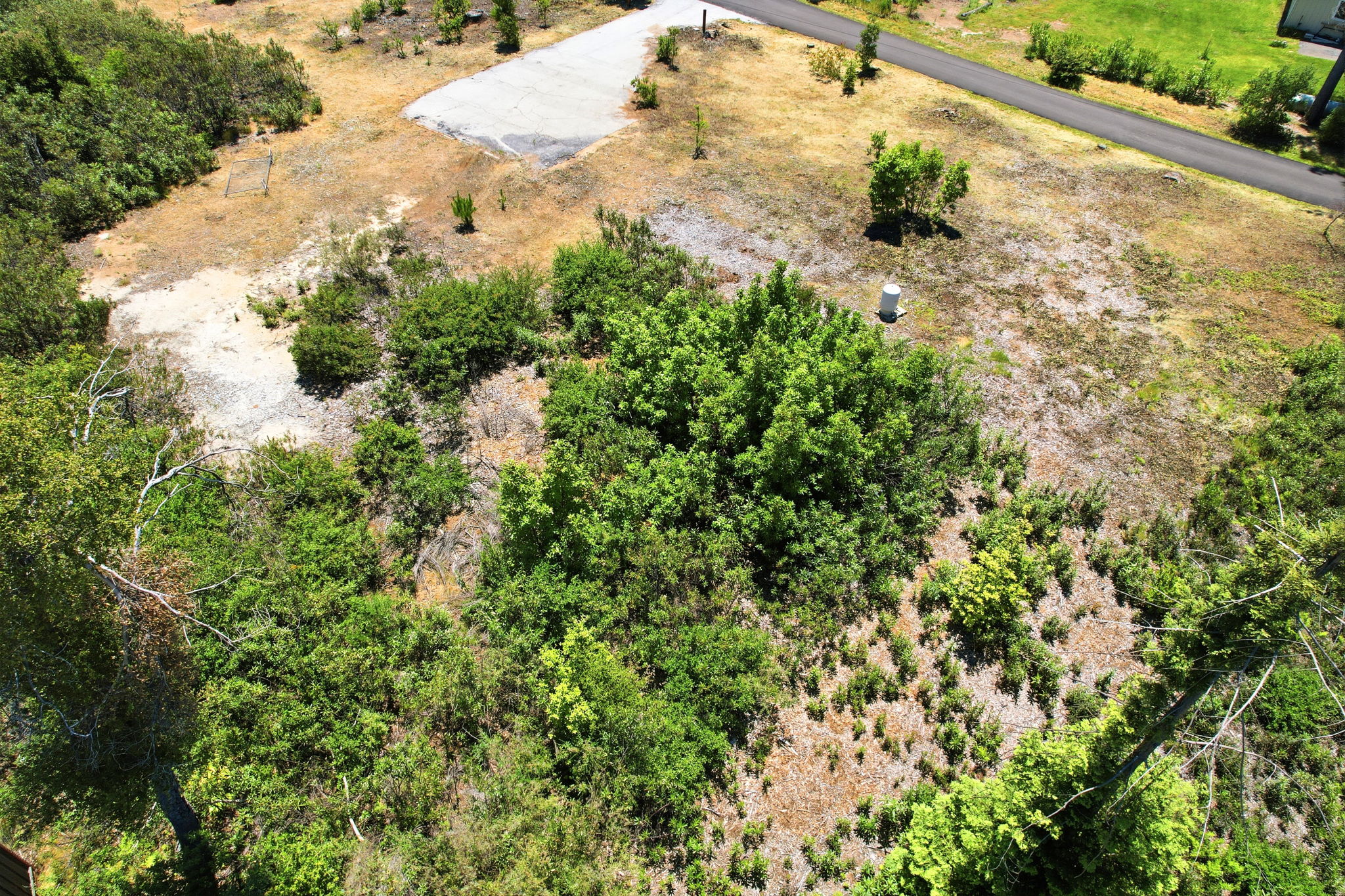 018_F8_AERIAL_45 Braemoor Dr