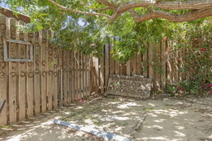  Photo 39