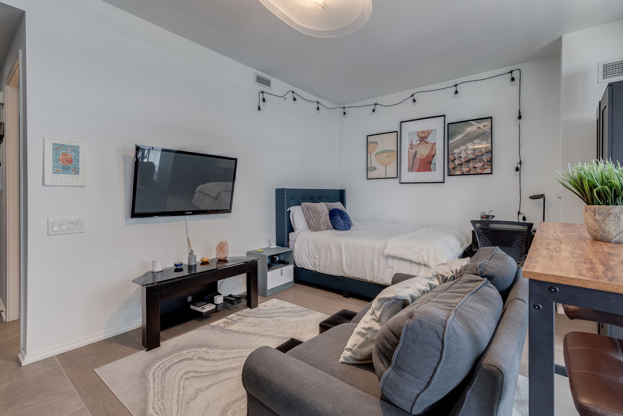 Toronto property showcase — delivered property photograph 8