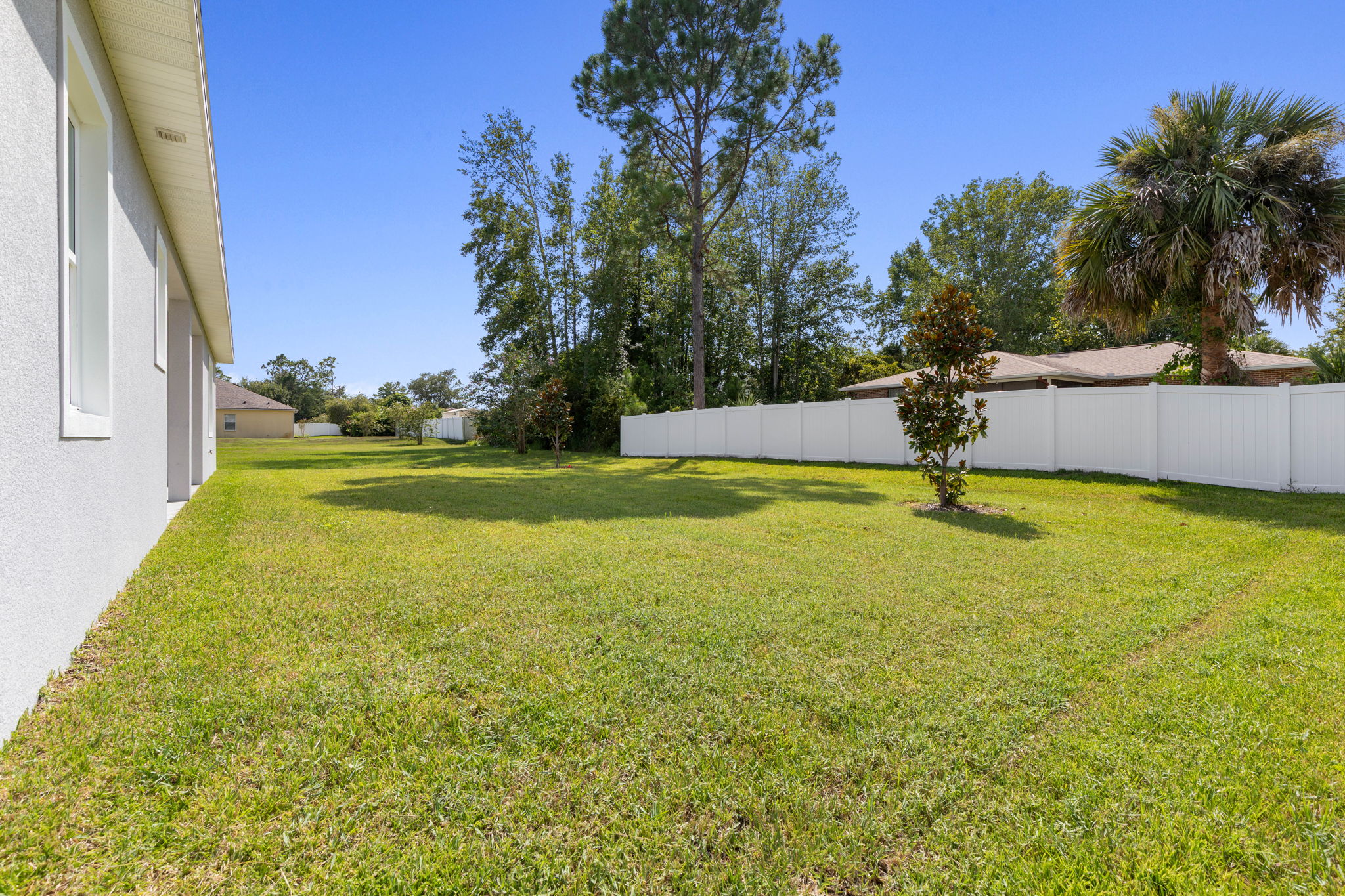 Large backyard