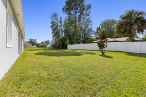 Large backyard