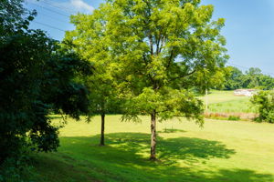  Photo 34