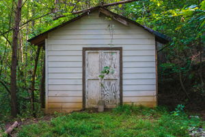  Photo 48