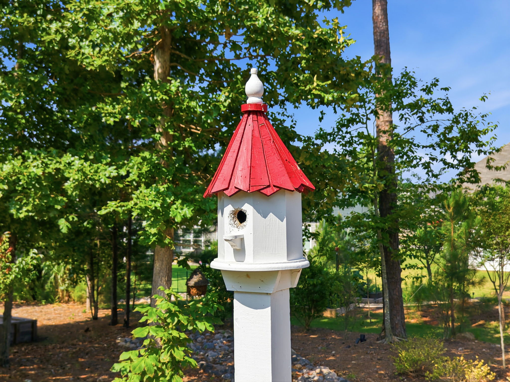  Photo 16