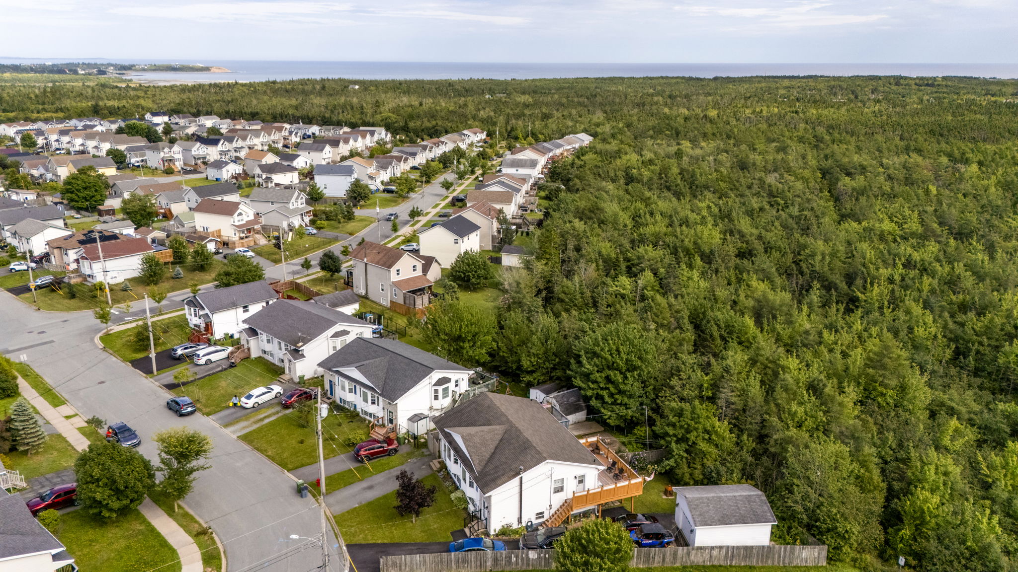  Photo 83