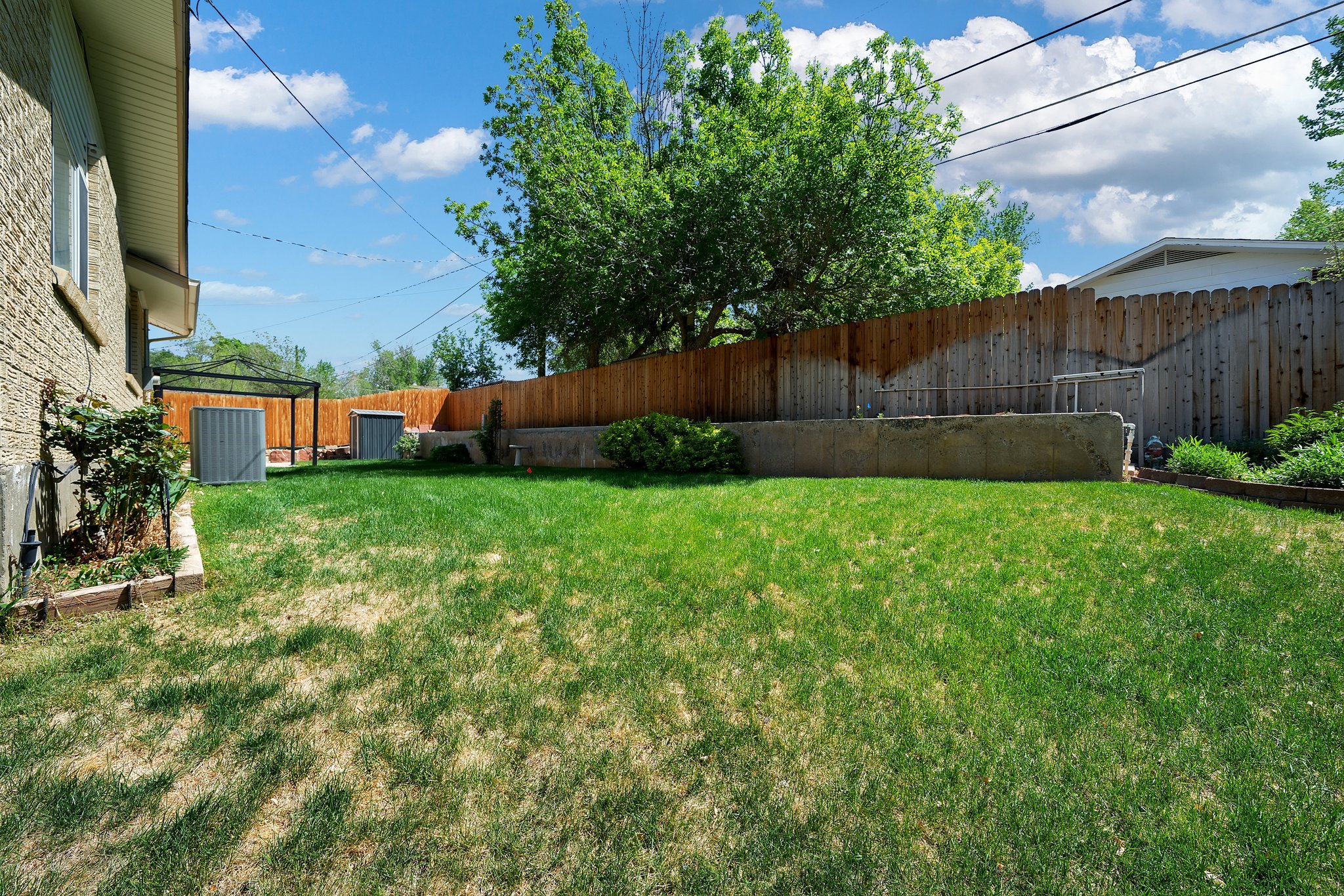 Back Yard