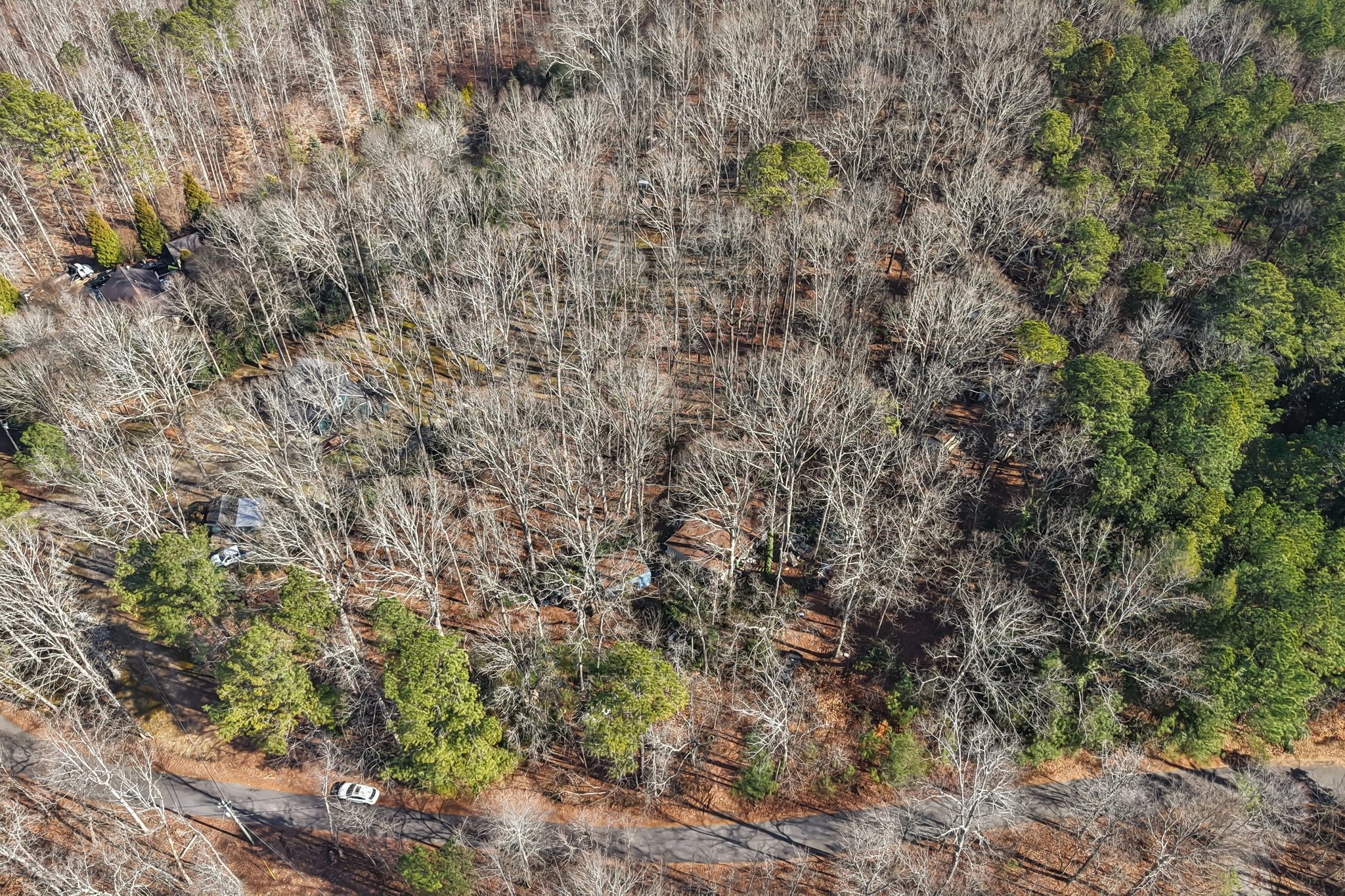 Pruitt Rd-S3101-018.jpg