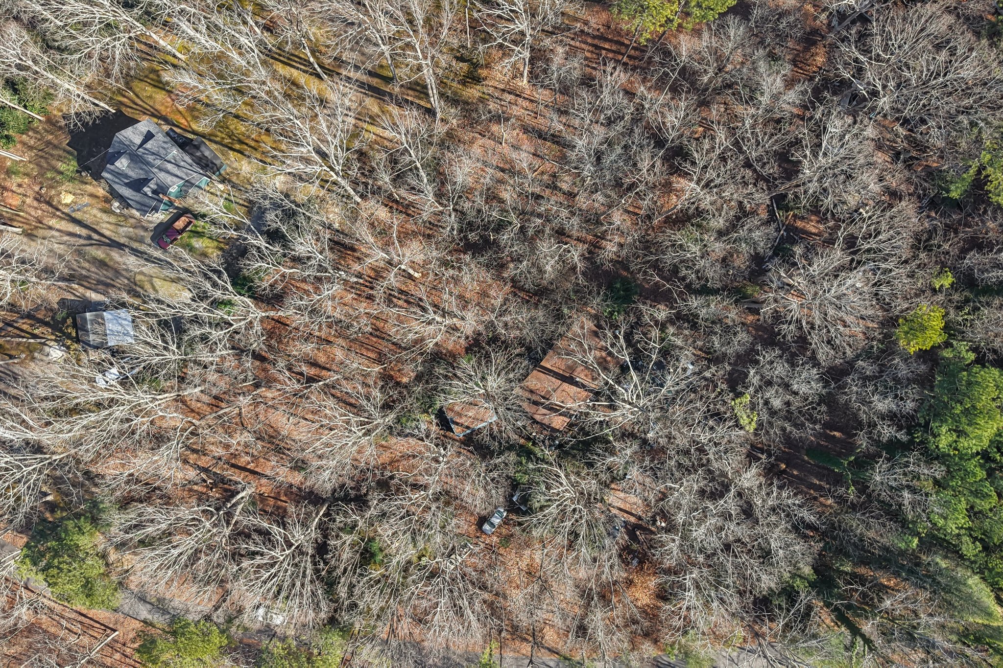 Pruitt Rd-S3101-019.jpg