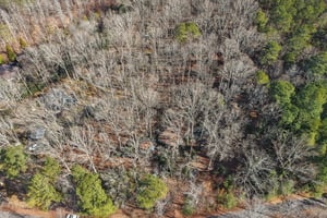 Pruitt Rd-S3101-016.jpg