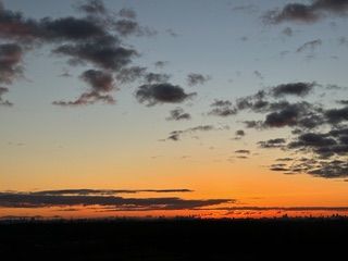  Photo 82