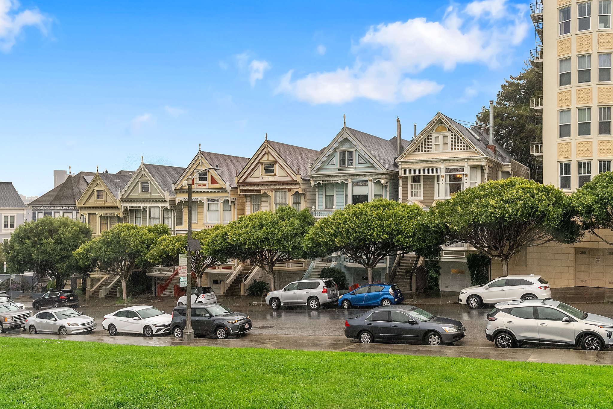 Painted Ladies