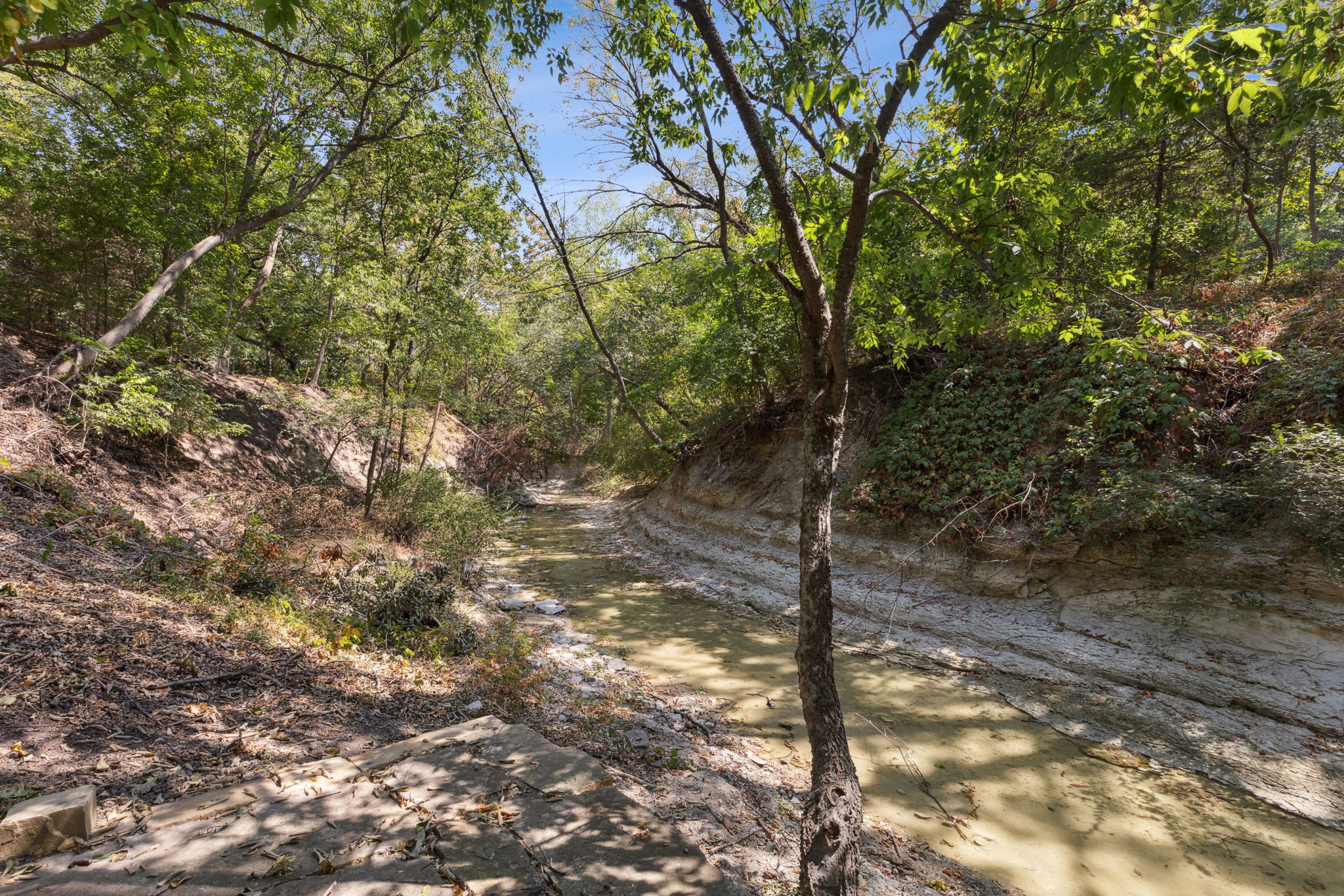 450Summerfield_061