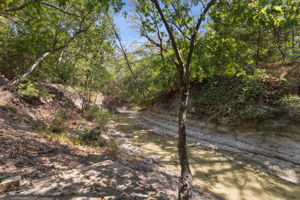 450Summerfield_061