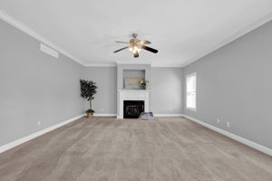 Carpeting New in 2019