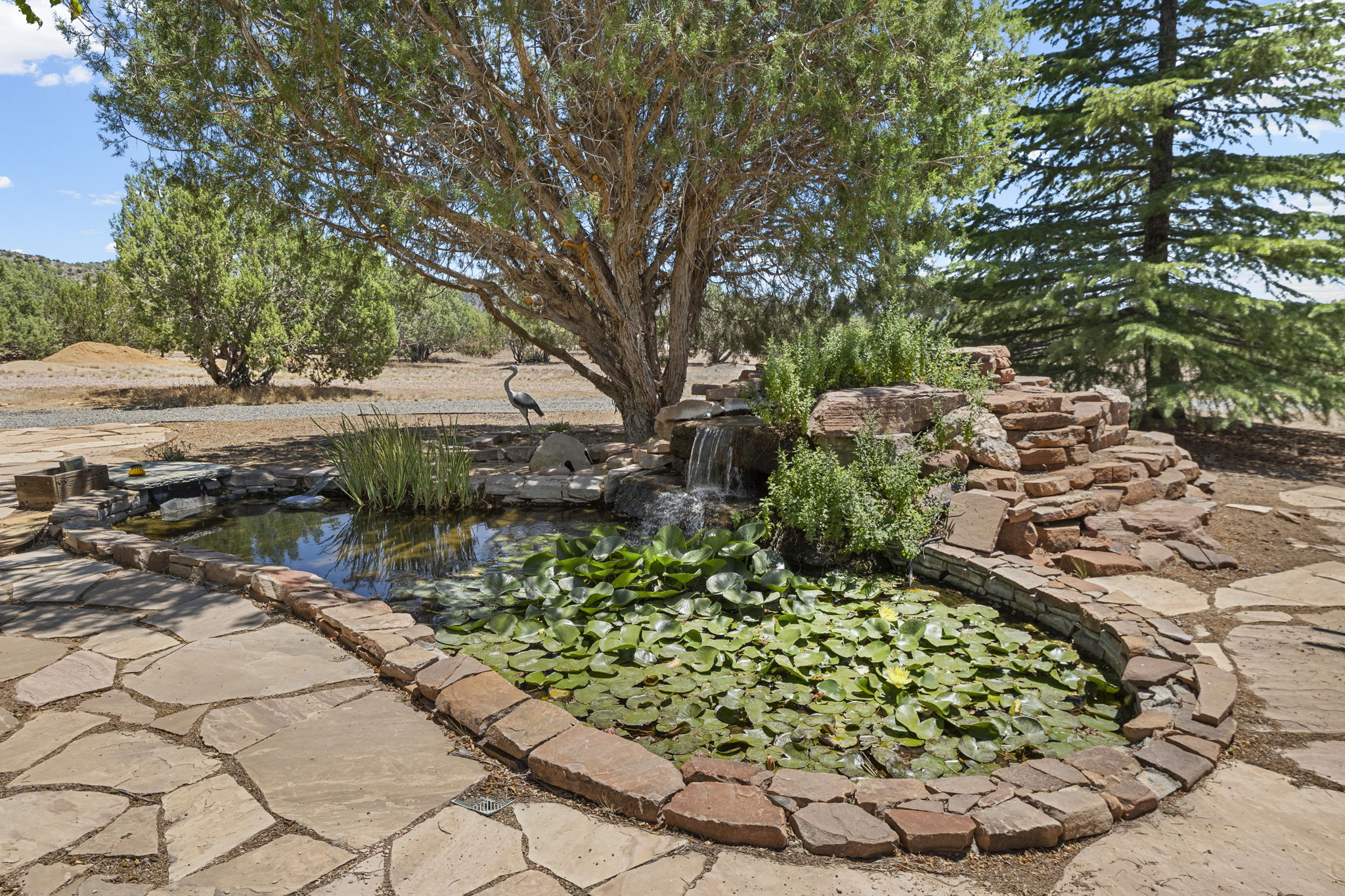 Water Feature
