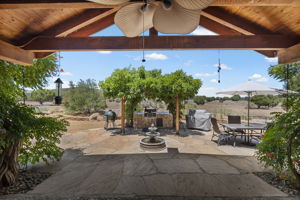 Back Patio