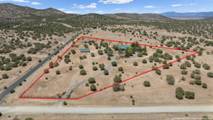 Aerial 1 Lot Line