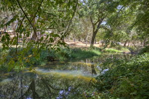  Photo 49