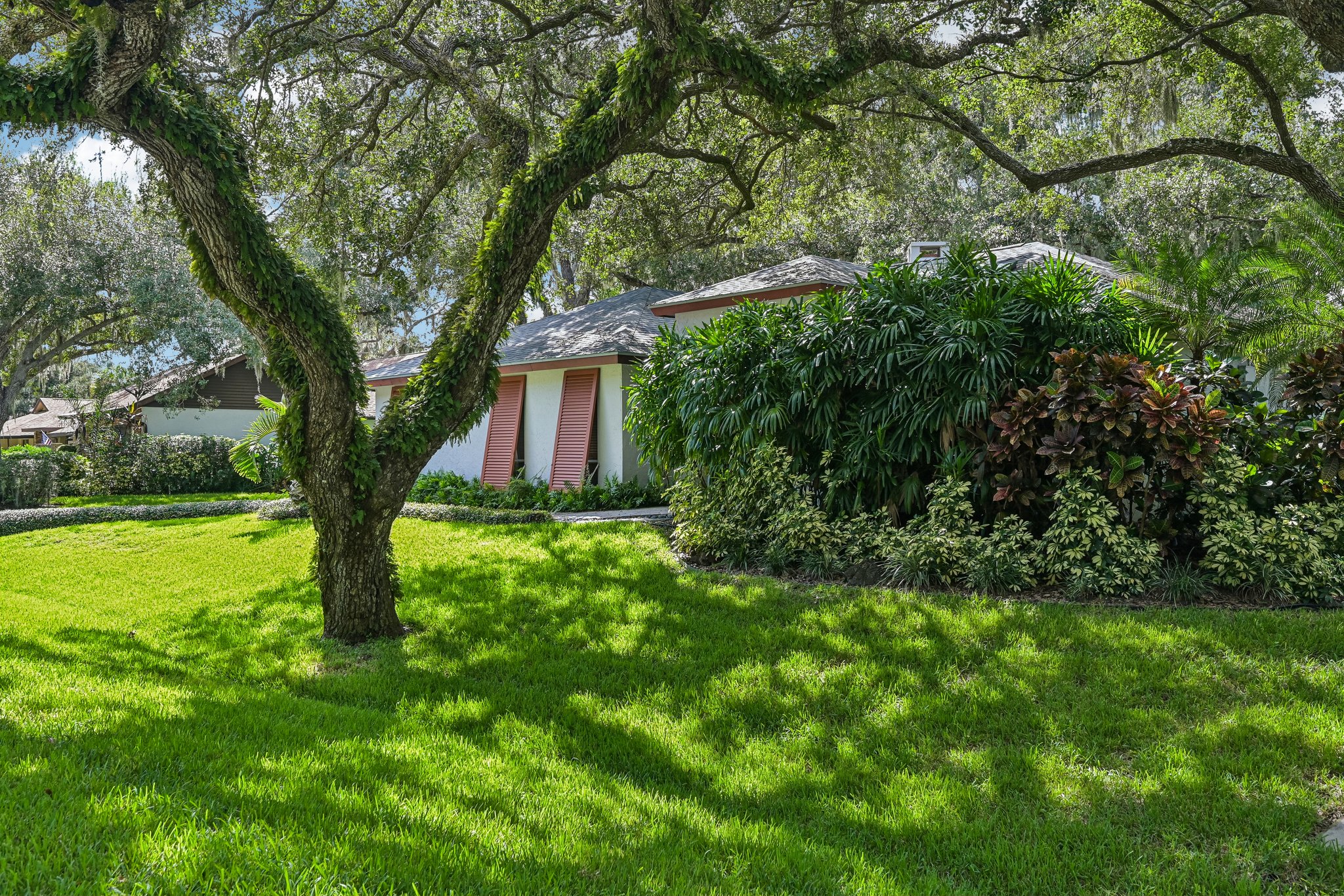 Friar Tuck Ln-S0209-004.jpg