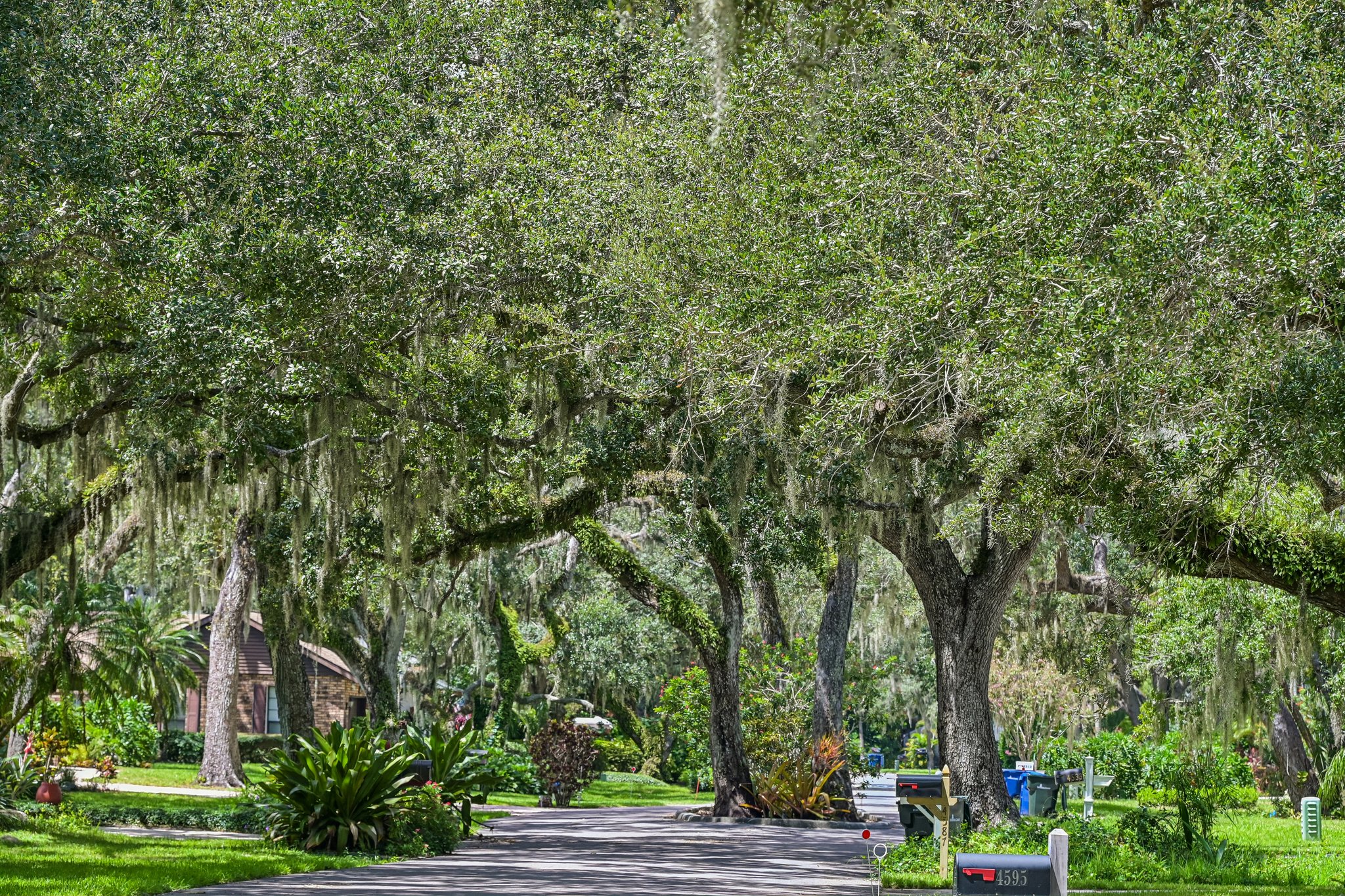 Friar Tuck Ln-S0209-048.jpg