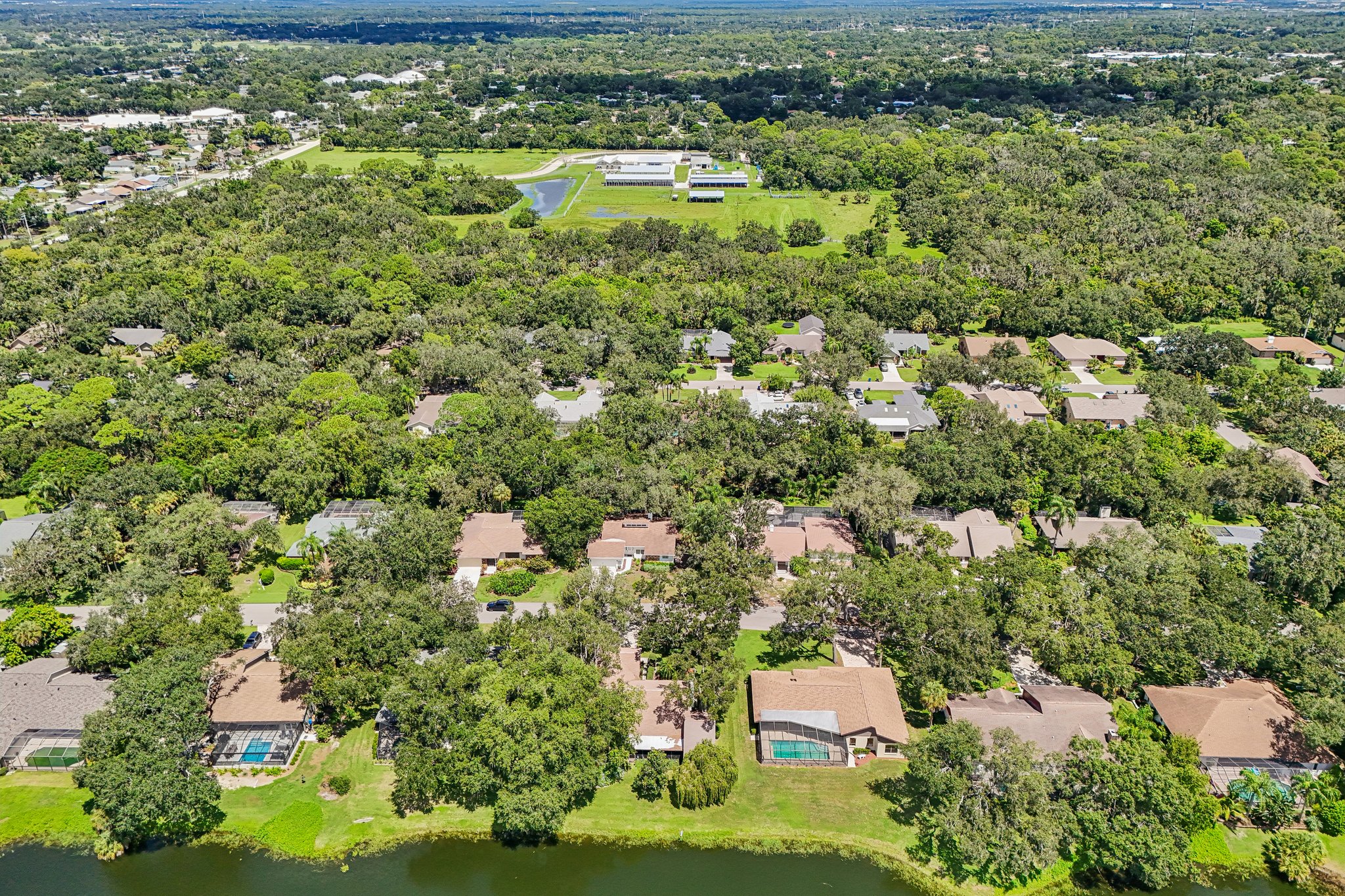 Friar Tuck Ln-S0209-061.jpg