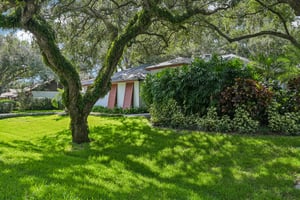 Friar Tuck Ln-S0209-004.jpg