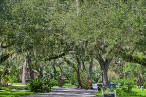 Friar Tuck Ln-S0209-048.jpg