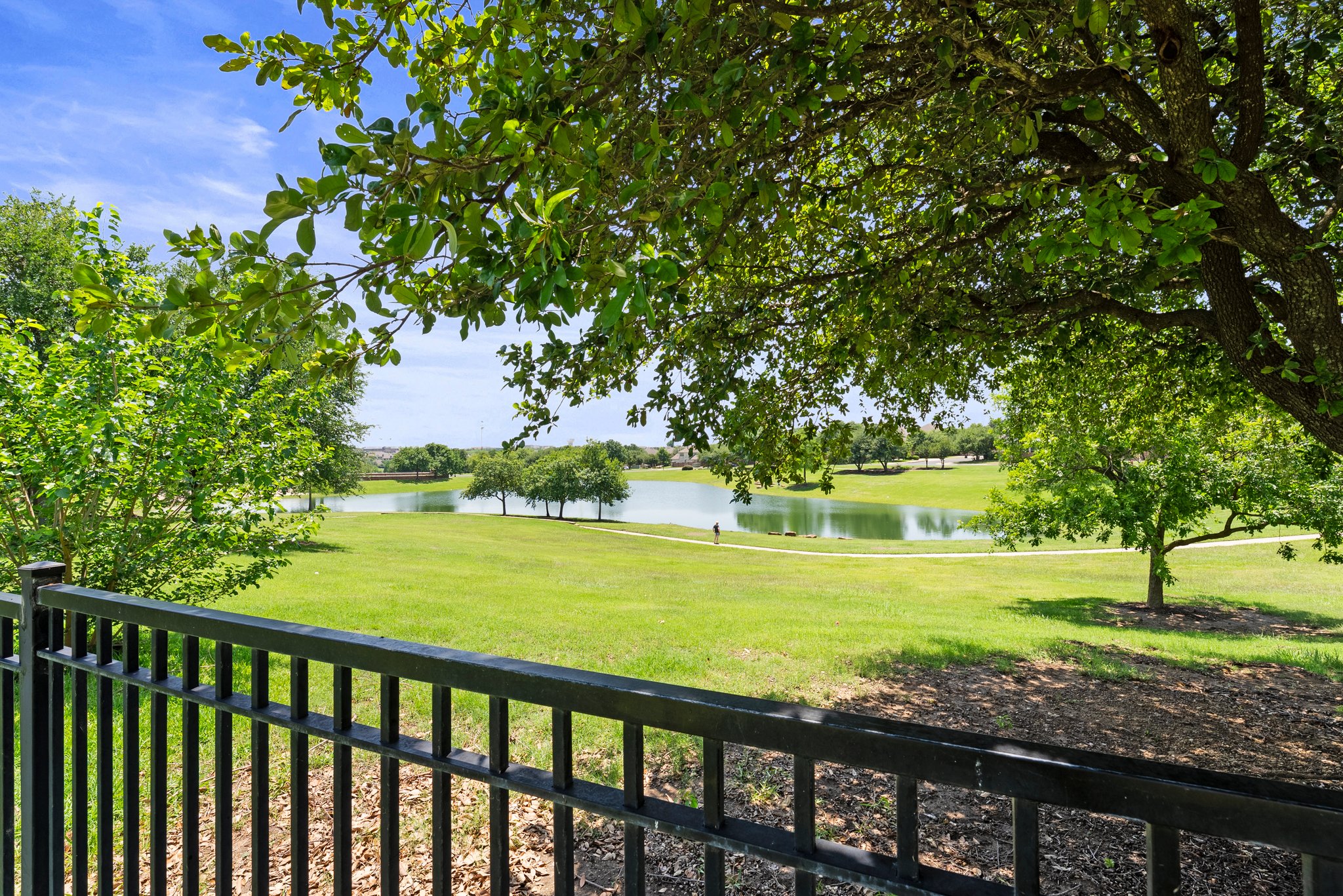 View from the back yard.