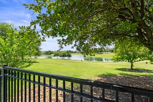 View from the back yard.