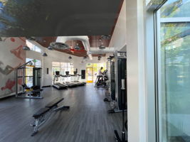  Photo 48