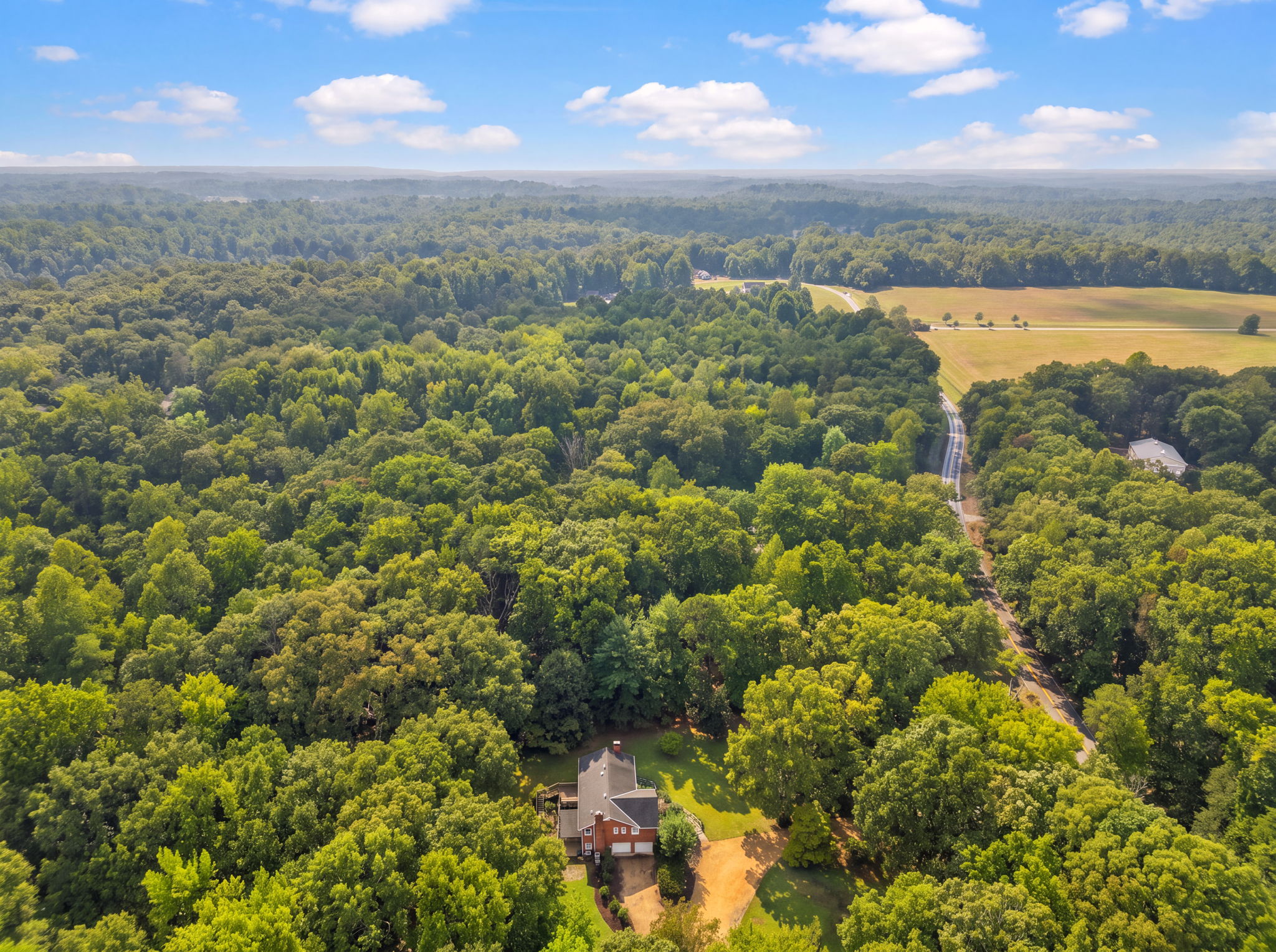  Photo 73