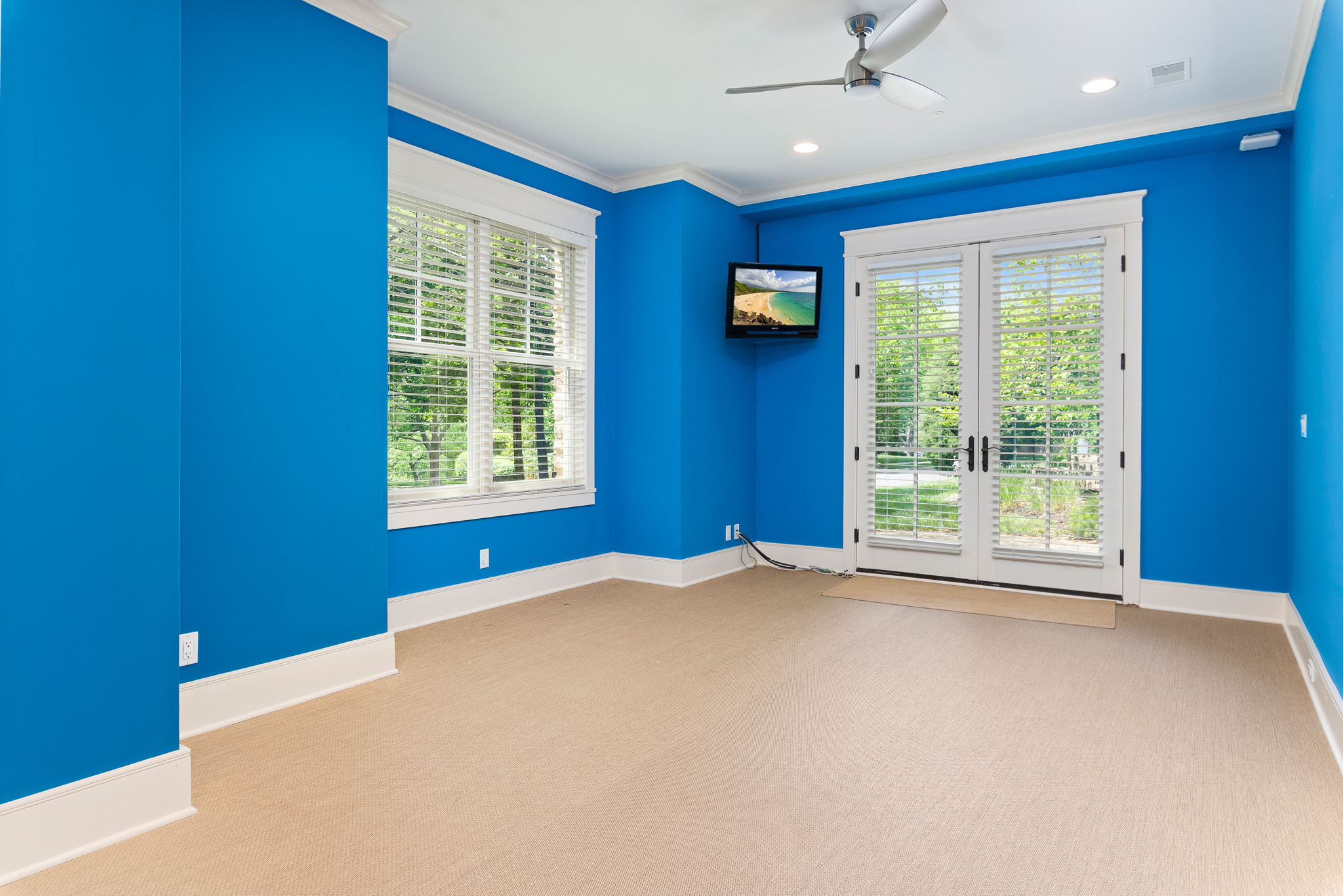  Photo 81