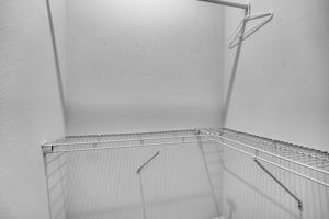  Photo 51